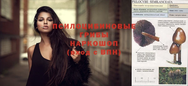 стаф Алексин
