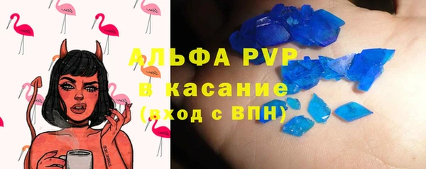индика Галич