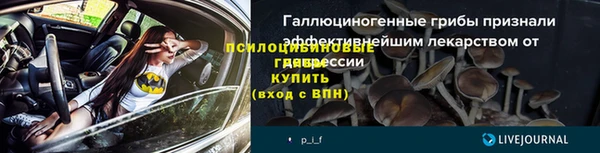 стаф Алексин