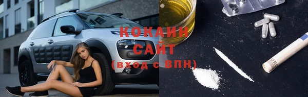 стаф Алексин