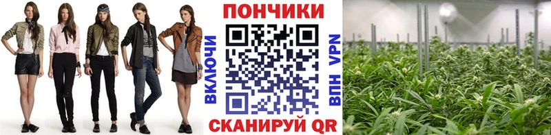 Шишки марихуана планчик  мега зеркало  Ивдель 